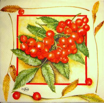009 Berry - 3-ply (cream) - Ambiente